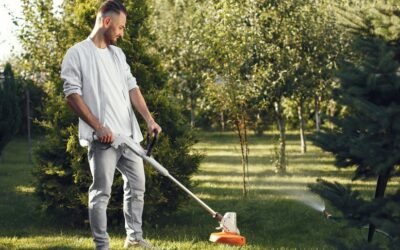 Mantenimiento del jardín en España. Consejos