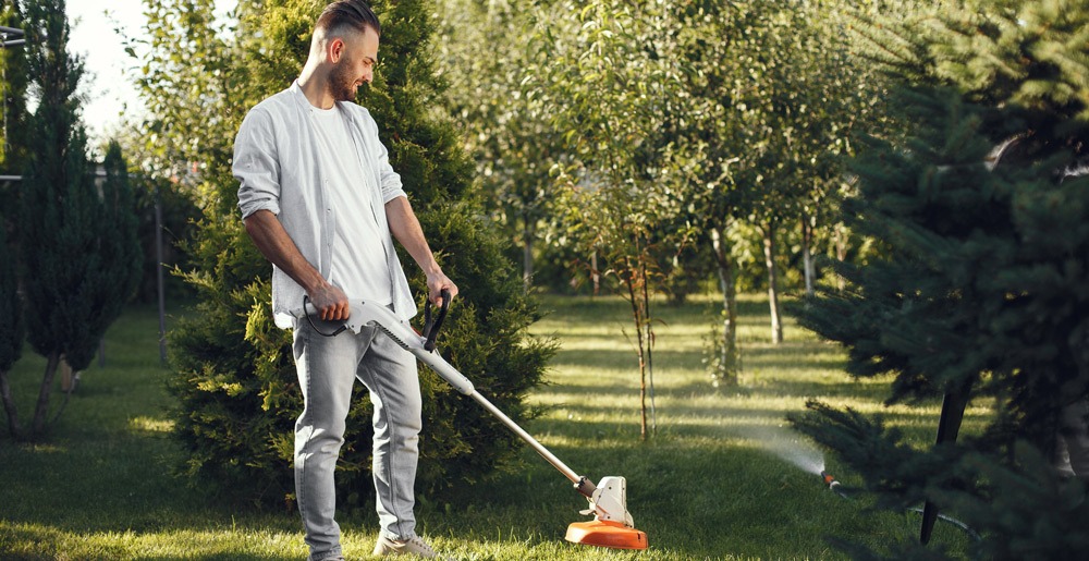 Mantenimiento del jardín en España. Consejos